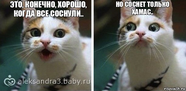 Это, конечно, хорошо, когда все соснули.. Но соснет только Хамас.., Комикс Если кто-то меня спросит что-либ