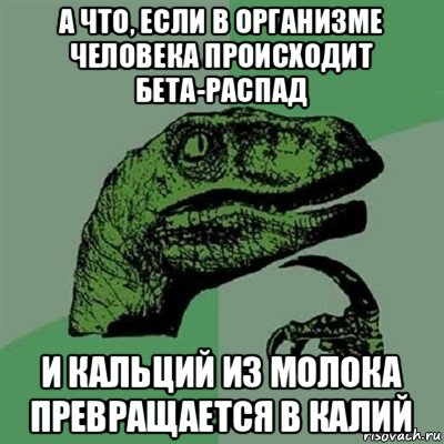 а что, если в организме человека происходит бета-распад и кальций из молока превращается в калий, Мем Филосораптор