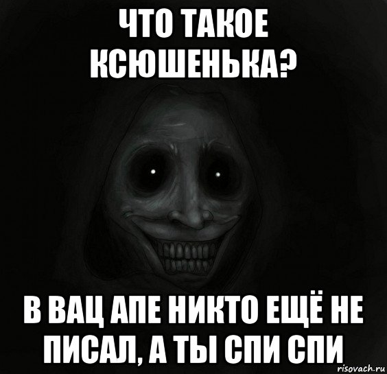 что такое ксюшенька? в вац апе никто ещё не писал, а ты спи спи, Мем Ночной гость