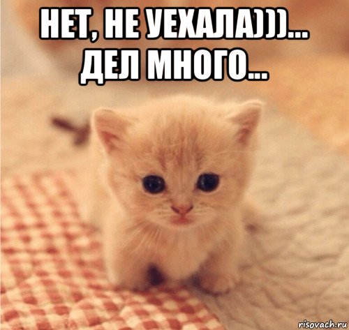 нет, не уехала)))... дел много... , Мем Hdh