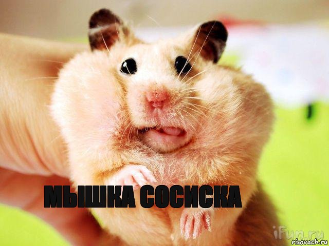 мышка сосиска