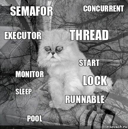 SEMAFOR LOCK THREAD POOL MONITOR CONCURRENT RUNNABLE EXECUTOR SLEEP START, Комикс  кот безысходность