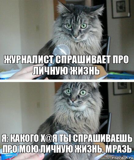 журналист спрашивает про личную жизнь я: какого х@я ты спрашиваешь про мою личную жизнь, мразь, Комикс  кот с микрофоном