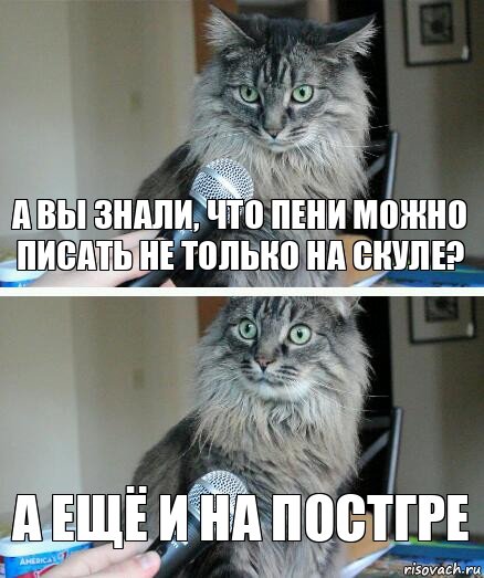 а вы знали, что пени можно писать не только на скуле? а ещё и на постгре, Комикс  кот с микрофоном