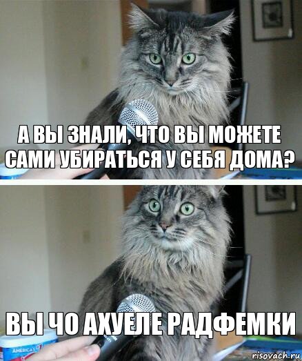 а вы знали, что вы можете сами убираться у себя дома? вы чо ахуеле радфемки, Комикс  кот с микрофоном