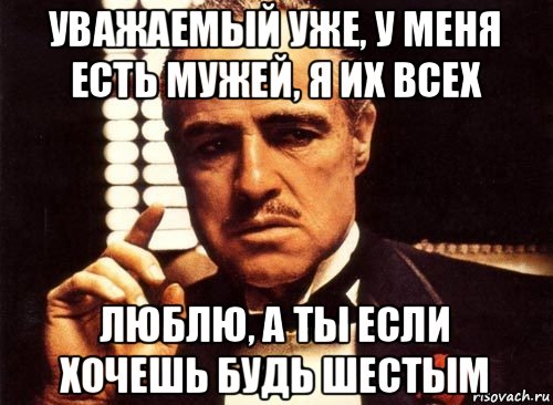 уважаемый уже, у меня есть мужей, я их всех люблю, а ты если хочешь будь шестым, Мем крестный отец