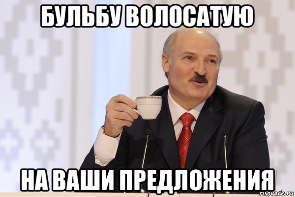 бульбу волосатую на ваши предложения, Мем Лукашенко