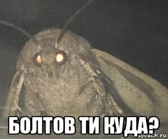  болтов ти куда?, Мем Матылёк