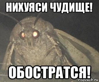 нихуяси чудище! обостратся!