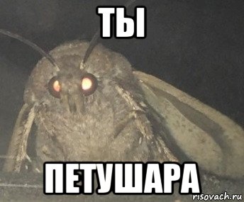 ты петушара