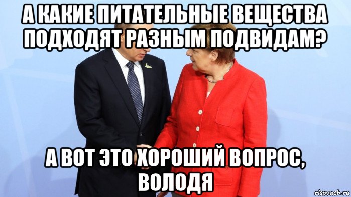 а какие питательные вещества подходят разным подвидам? а вот это хороший вопрос, володя