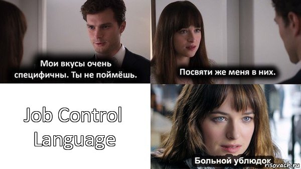 Job Control Language, Комикс Мои вкусы очень специфичны