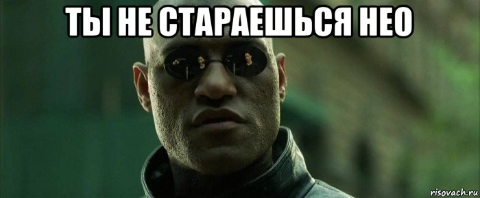 ты не стараешься нео 