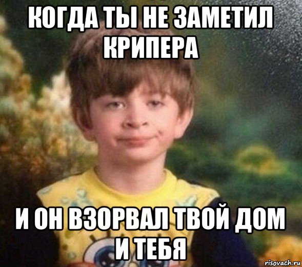 когда ты не заметил крипера и он взорвал твой дом и тебя, Мем Недовольный пацан