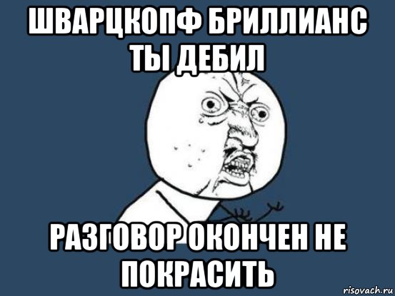 шварцкопф бриллианс ты дебил разговор окончен не покрасить, Мем Ну почему