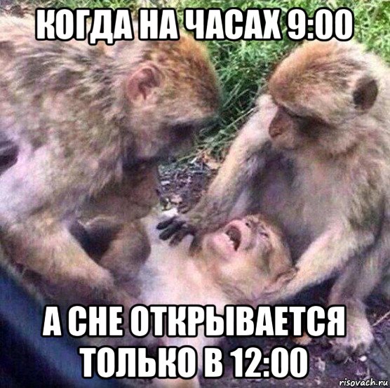 когда на часах 9:00 а сне открывается только в 12:00