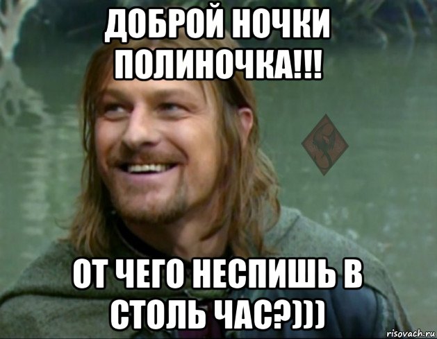 доброй ночки полиночка!!! от чего неспишь в столь час?))), Мем ОР Тролль Боромир