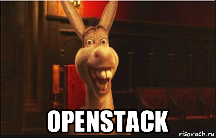  openstack, Мем Осел из Шрека