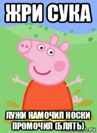 жри сука лужи намочил носки промочил (блять), Мем  Peppa