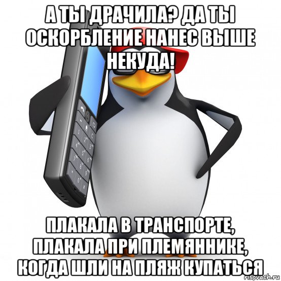 а ты драчила? да ты оскорбление нанес выше некуда! плакала в транспорте, плакала при племяннике, когда шли на пляж купаться, Мем   Пингвин звонит