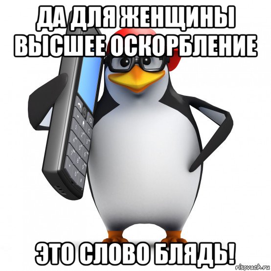 да для женщины высшее оскорбление это слово блядь!, Мем   Пингвин звонит