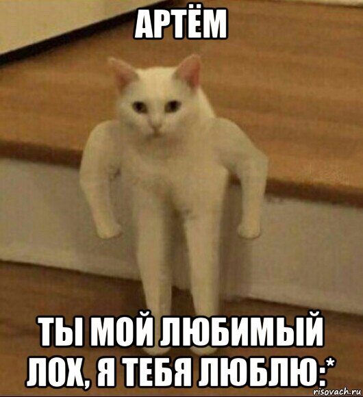 артём ты мой любимый лох, я тебя люблю:*, Мем  Полукот