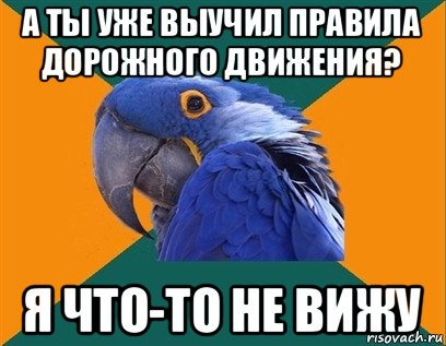 а ты уже выучил правила дорожного движения? я что-то не вижу, Мем Попугай параноик