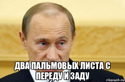  два пальмовых листа с переду и заду, Мем путин