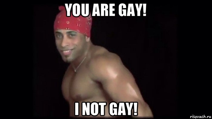 you are gay! i not gay!