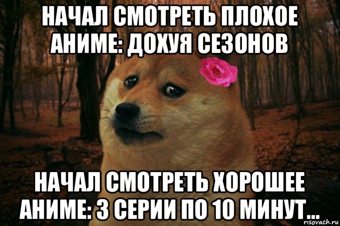 начал смотреть плохое аниме: дохуя сезонов начал смотреть хорошее аниме: 3 серии по 10 минут..., Мем  SAD DOGE GIRL