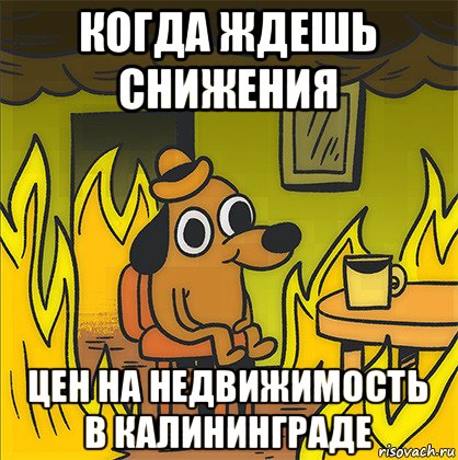 когда ждешь снижения цен на недвижимость в калининграде, Мем Собака в огне