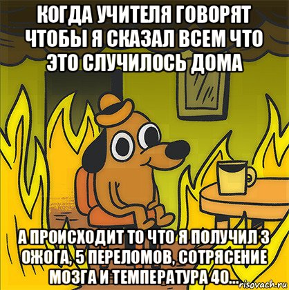 когда учителя говорят чтобы я сказал всем что это случилось дома а происходит то что я получил 3 ожога, 5 переломов, сотрясение мозга и температура 40..., Мем Собака в огне