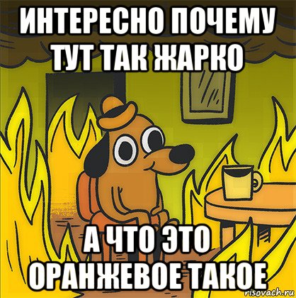 интересно почему тут так жарко а что это оранжевое такое, Мем Собака в огне