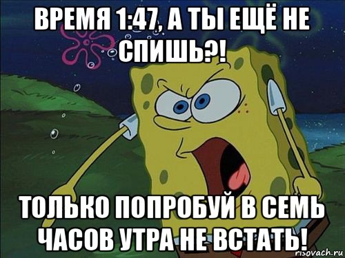 время 1:47, а ты ещё не спишь?! только попробуй в семь часов утра не встать!, Мем Спанч боб