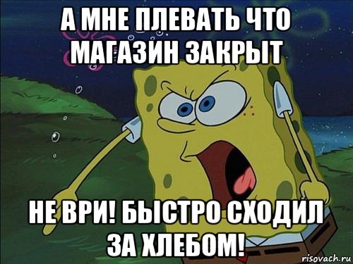 а мне плевать что магазин закрыт не ври! быстро сходил за хлебом!, Мем Спанч боб