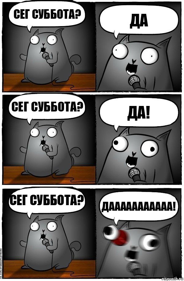 Сег суббота? Да Сег суббота? Да! Сег суббота? ДААААААААААА!, Комикс  Стендап-кот