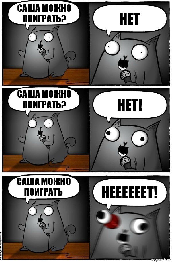 Саша можно поиграть? Нет Саша можно поиграть? Нет! Саша можно поиграть НЕЕЕЕЕЕТ!, Комикс  Стендап-кот