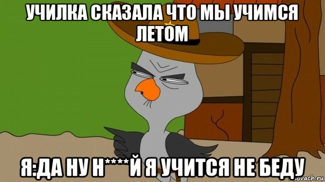 училка сказала что мы учимся летом я:да ну н****й я учится не беду, Мем  Строгая сова