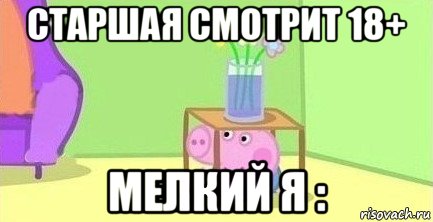 старшая смотрит 18+ мелкий я :