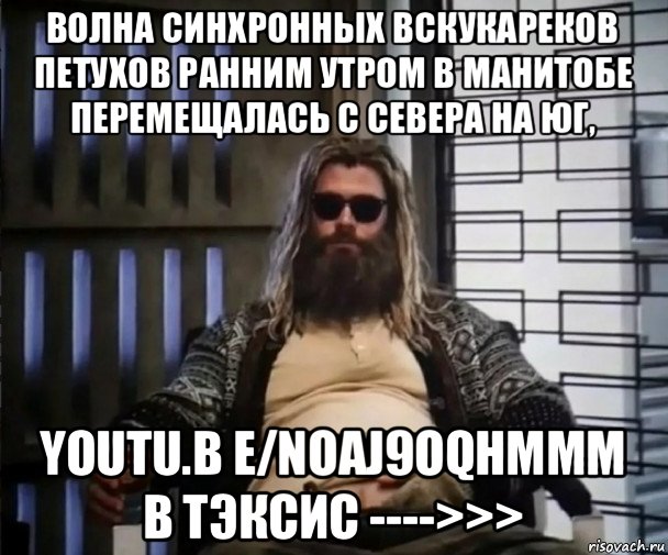 волна синхронных вскукареков петухов ранним утром в манитобе перемещалась с севера на юг, youtu.b e/noaj9oqhmmm в тэксис ---->>>, Мем Толстый Тор