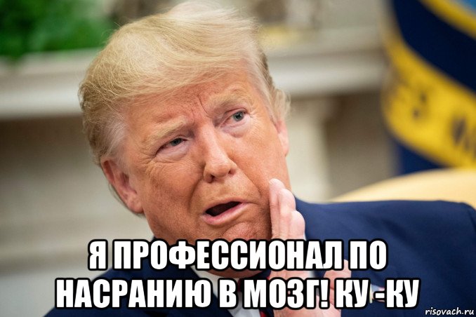  я профессионал по насранию в мозг! ку -ку, Мем Трамп