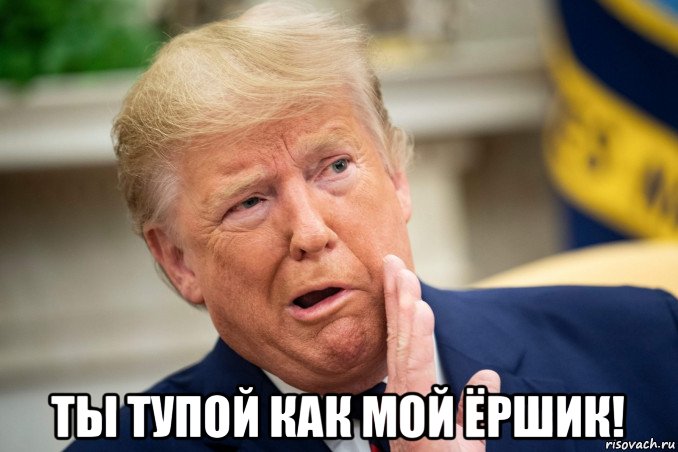  ты тупой как мой ёршик!, Мем Трамп