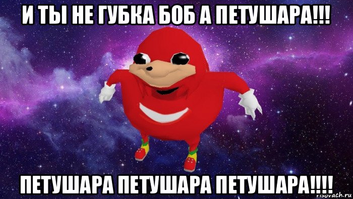 и ты не губка боб а петушара!!! петушара петушара петушара!!!!