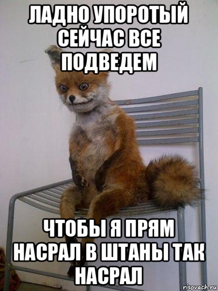 ладно упоротый сейчас все подведем чтобы я прям насрал в штаны так насрал, Мем Упоротая лиса