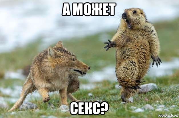 а может секс?