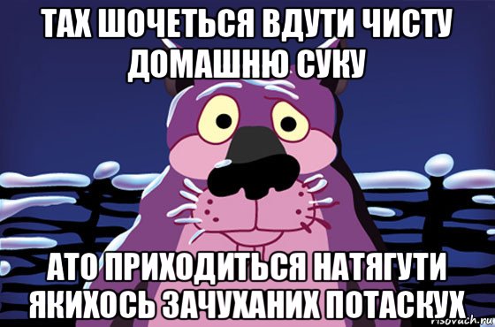 тах шочеться вдути чисту домашню суку ато приходиться натягути якихось зачуханих потаскух, Мем Волк