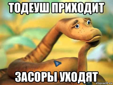 тодеуш приходит засоры уходят