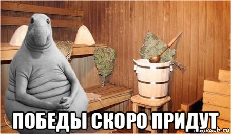  победы скоро придут