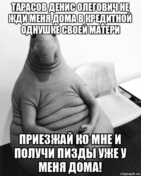 тарасов денис олегович не жди меня дома в кредитной однушке своей матери приезжай ко мне и получи пизды уже у меня дома!, Мем  Ждун