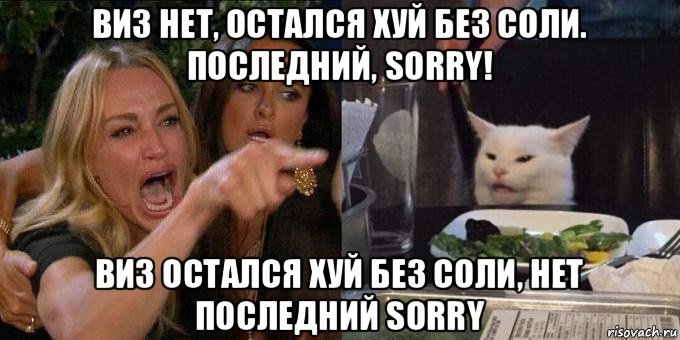 виз нет, остался хуй без соли. последний, sorry! виз остался хуй без соли, нет последний sorry, Мем Женщина орёт на кота